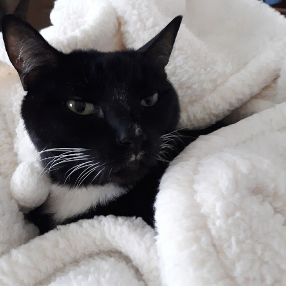 Meet your Posher, Claire - Picture 1 of 1